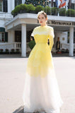 Brinley A-line Long Sleeved Organza Maxi Dress